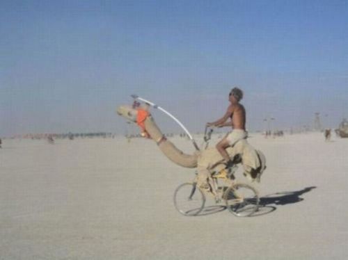 Bicicleta camello