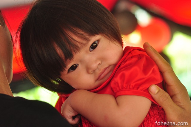 [DSC_00526.jpg]