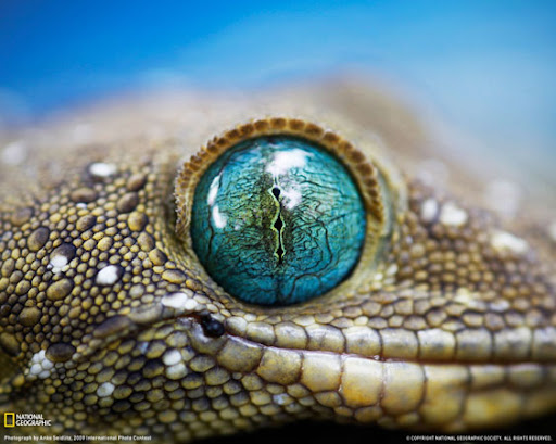 coluna zero, meio ambiente, fotografia, environment, photos, photo of the day, national geographic, imagens