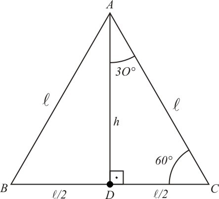 Figura1