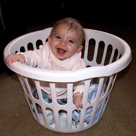 [Elaine 24 Weeks inside laundry basket[4].jpg]