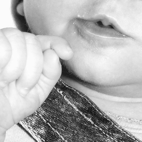 [Elaine 4 weeks mouth.jpg]