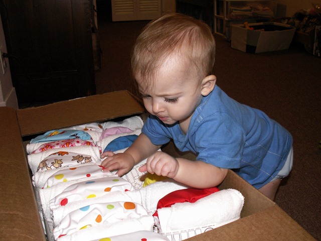 [First Rumparooz Order Arrives_0002[3].jpg]