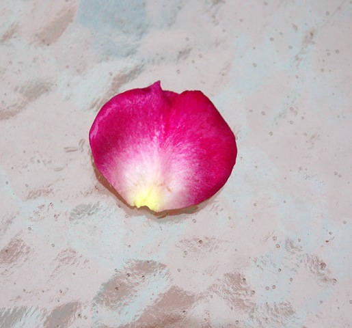 [sugarpasterose0083.jpg]