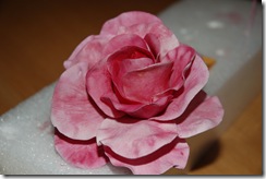 sugarpasterose_20 sugarpasterose_20