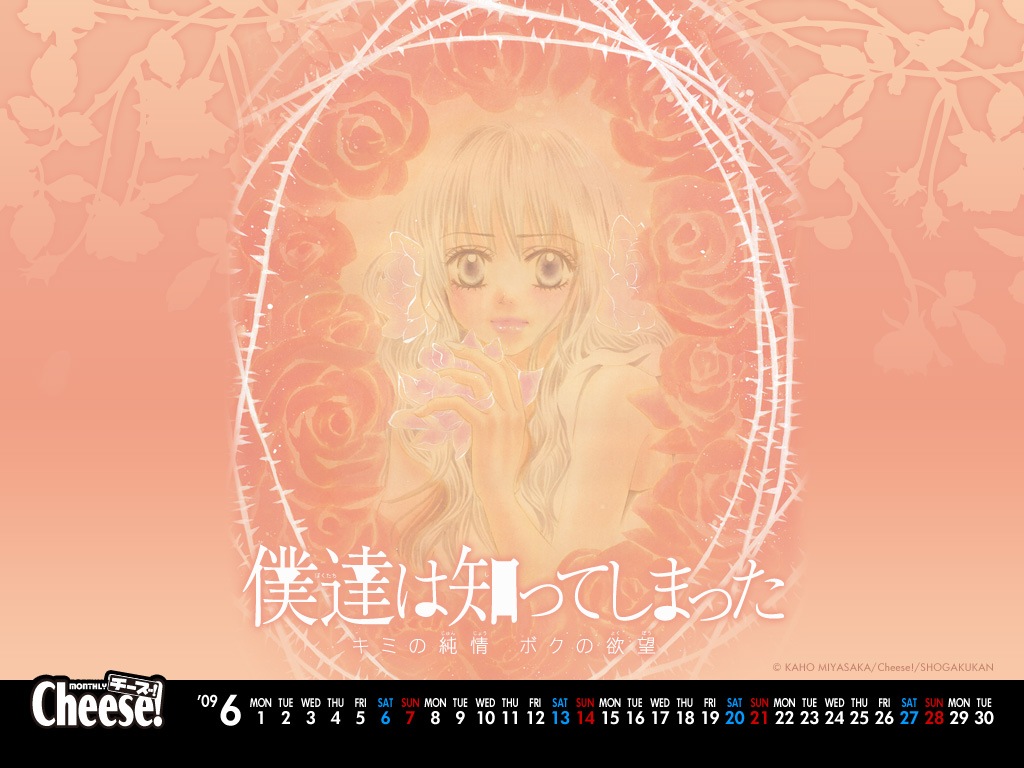 [wp200907_1024[6].jpg]