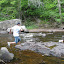 D jumping rocks
