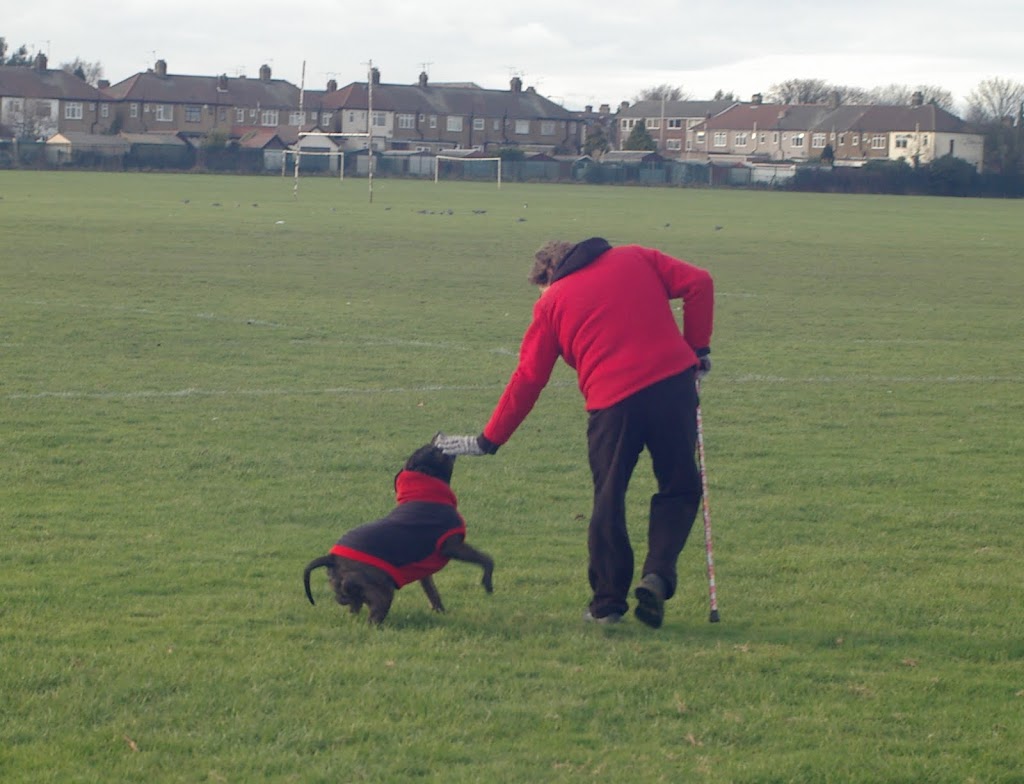 Me looking particularly buttless, walking across a park with the dog
