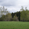 Kunžak 2010