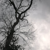 Scenery
