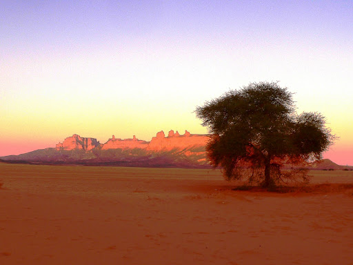 arbre et montagne Akakous Lybie