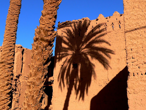 ombre de palmier sur habitation vallée du Drâa Maroc