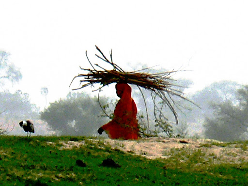 Niger femme en rouge portant du bois sur les rives du fleuve Niger