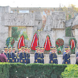 Ziua Armatei Romane 2008