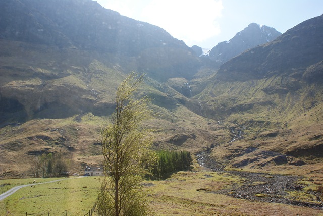 [DSC007472.jpg]