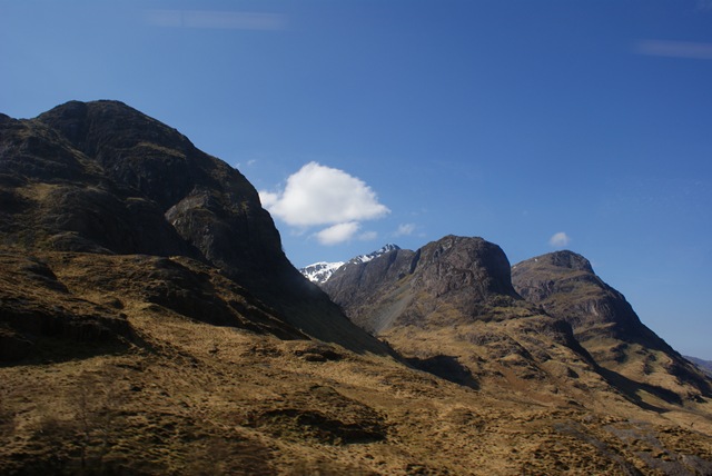 [DSC007372.jpg]