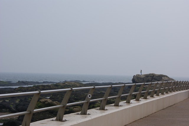 [DSC009702.jpg]