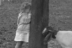goats 090 goats 090