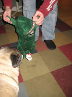 IMG_2763.JPG