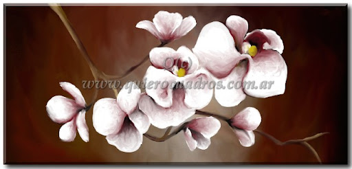 Cuadros modernos Orquideas