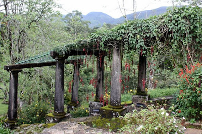 Garden at the Tientsin Bungalow at Ceylon Tea Trails in Sri Lanka