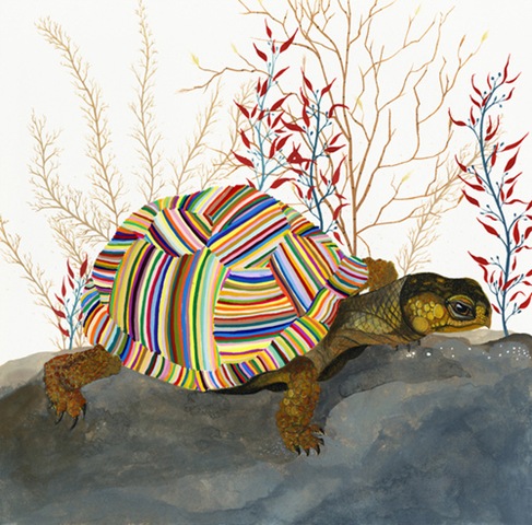 [The Tortoise by Carrie Marill[4].jpg]