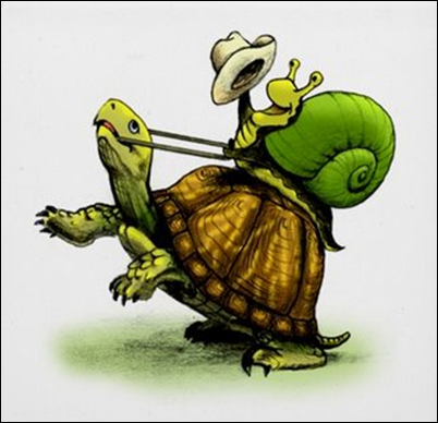 TurtleSnail