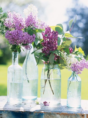 [midwestlivinglilacs[5].jpg]