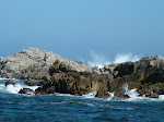 Monterey, CA coastline
