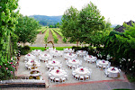 Have your wedding on the patio overlooking the vineyards.