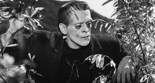 frankenstein frankenstein