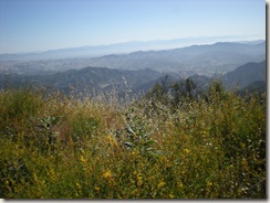 xterra malibu creek top of bulldog