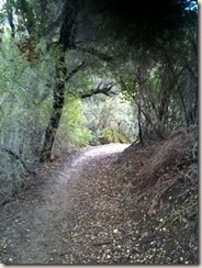 PCTR Malibu Creek single track 1a PCTR Malibu Creek single track 1a
