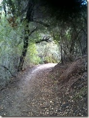 PCTR Malibu Creek single track 1a