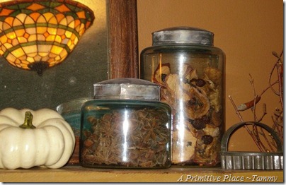 A Primitive Place ~Tammy