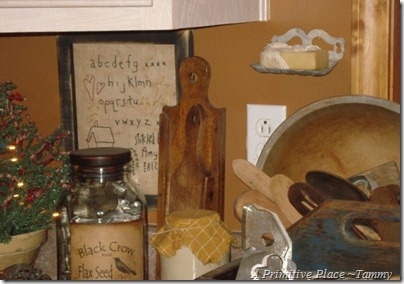 A Primitive Place ~Tammy