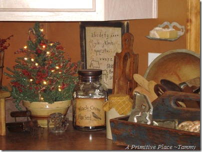 A Primitive Place ~Tammy