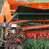  &ndash;  &ndash; 01-May-2010