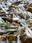 P1040156.JPG