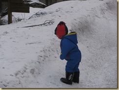 IMG_5013 IMG_5013