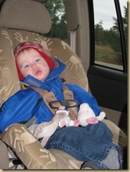 IMG_4679 IMG_4679