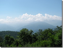 IMG_5967 IMG_5967