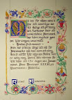My 10th scroll, finished: Sophia Eriksdotter AoA