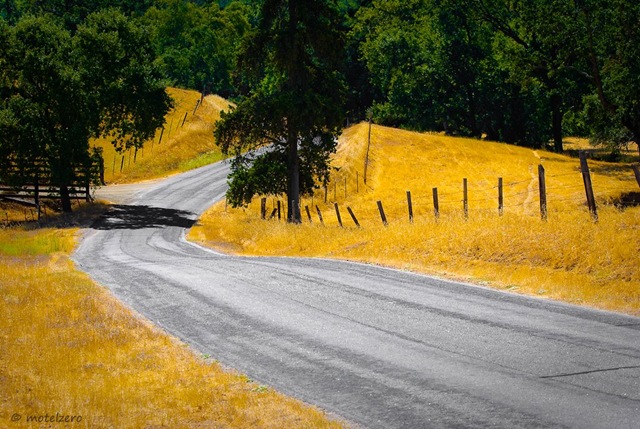 [fenceline-5032[4].jpg]