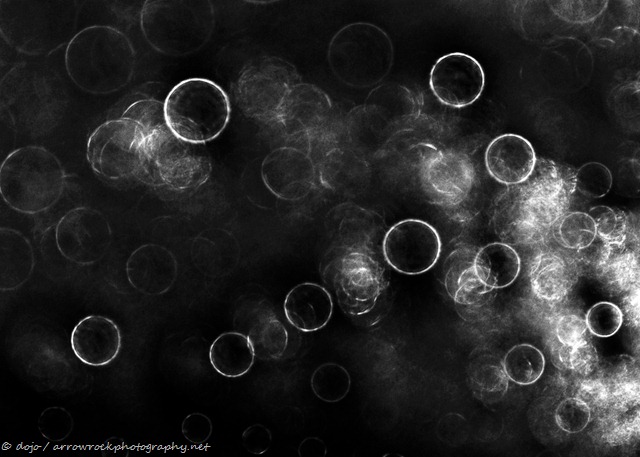 [circles-2[12].jpg]