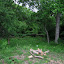 SerenDippity's Edge of Forest garden