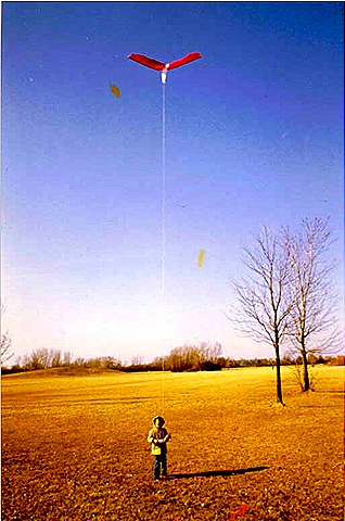 [andy and kite2[10].jpg]