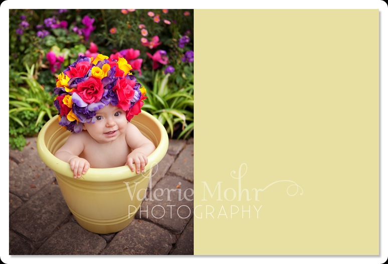 wm_004_kim