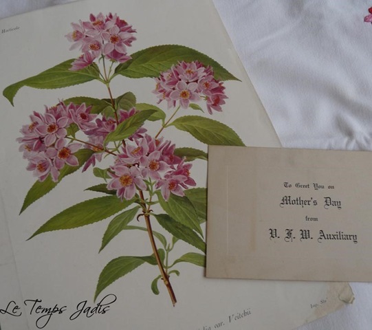 [ephemera0043.jpg]