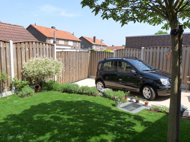 [tuin mei 2009 003[8].jpg]